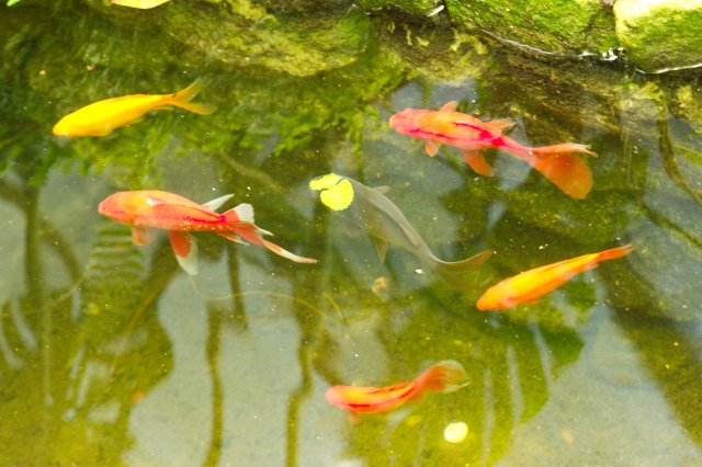 PICT2894.jpg