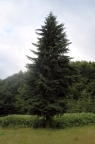 DSC01961