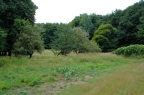 DSC01962