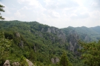 _DSC0958