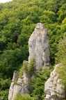 _DSC0960