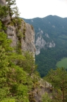_DSC0962