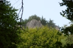 _DSC0965
