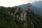 _DSC0975