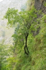 _DSC0984