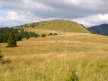 DSC02054